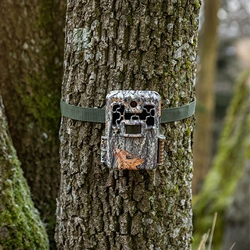 10 tips när du väljer viltkamera