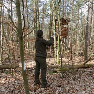 Arbetsrutiner året runt på jaktmarken