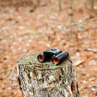 Nattkikare, dagkikare eller allroundkikare?