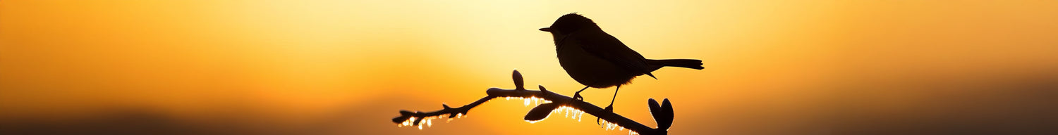 Varumärken > Kamakura