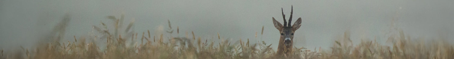 Varumärken > Lafayette