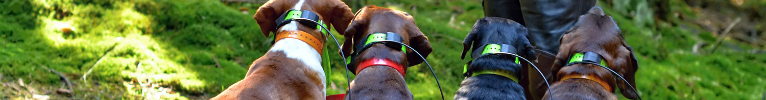 Produkter > Jakt > Jaktelektronik