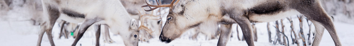 Varumärken > Kero Leather