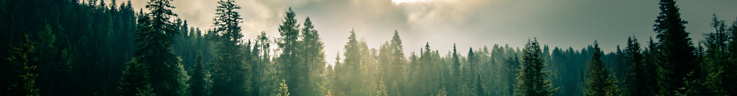 Varumärken > Källrå vildmarksprodukter