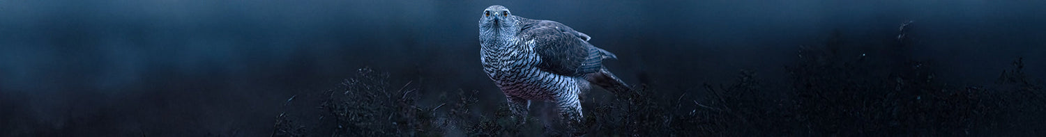 Produkter > Optik > Tillbehör Handkikare