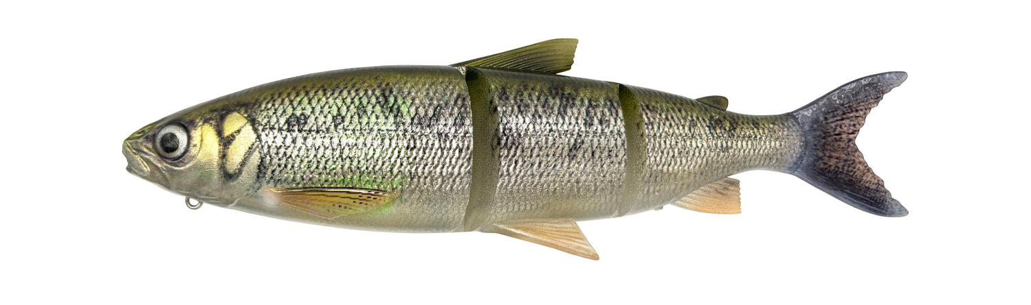 3D Line Thru Whitefish