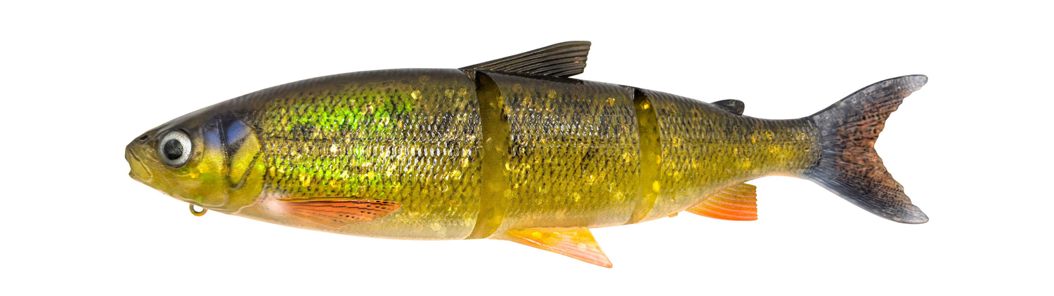 3D Line Thru Whitefish