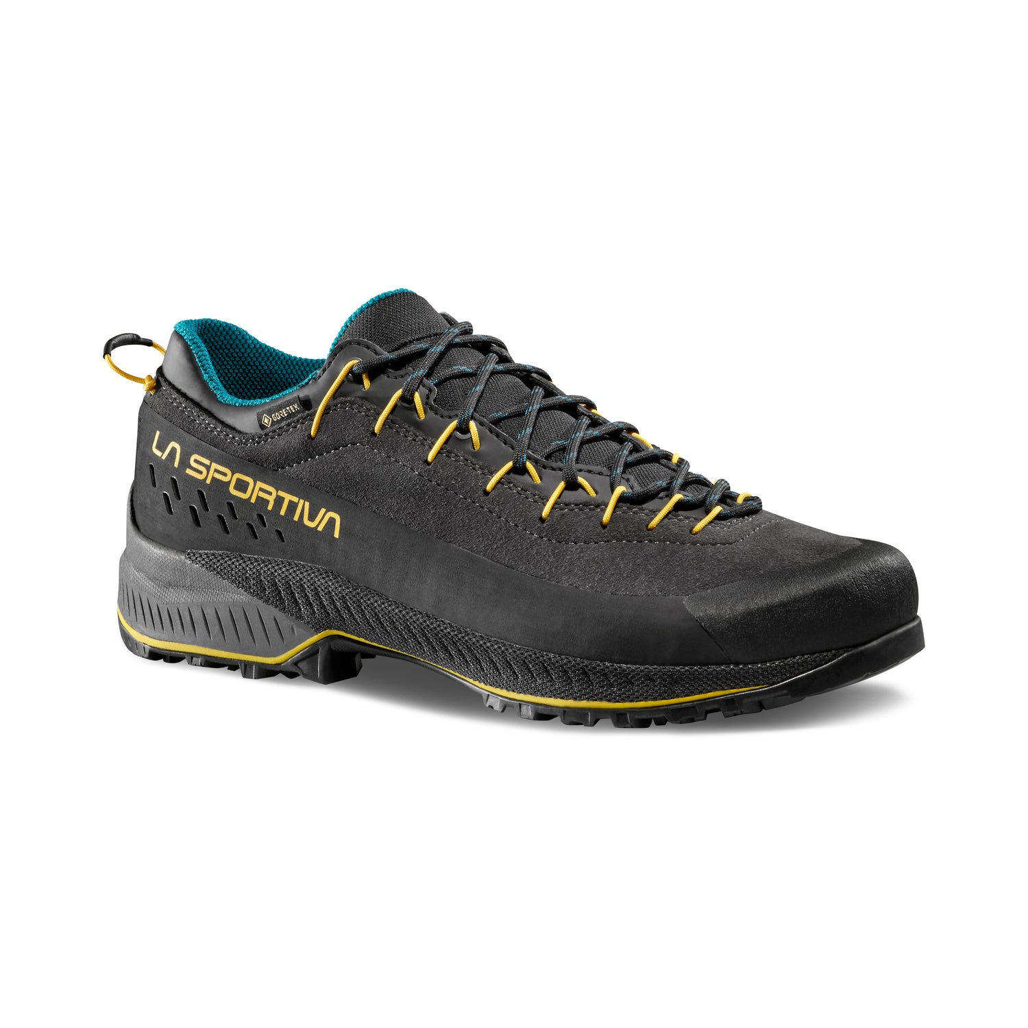 TX4 Evo GTX Men