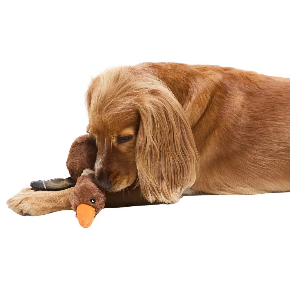Barbour Dog Flying Duck Toy
