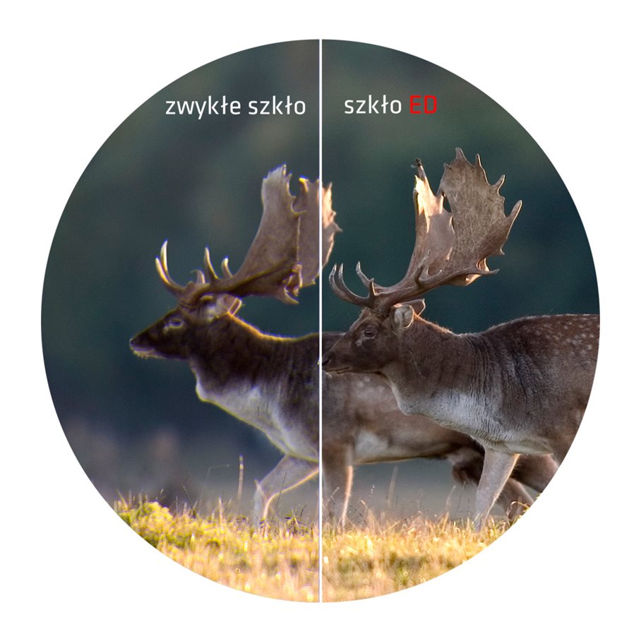 Titanium ED 8x56 Porro Handkikare EN STL