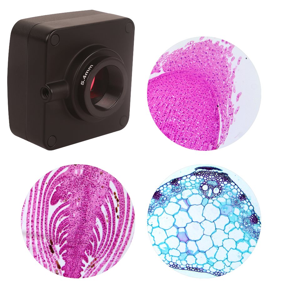 WiFi-kamera till klassrummet, 5 MP foto-upplösning EN STL