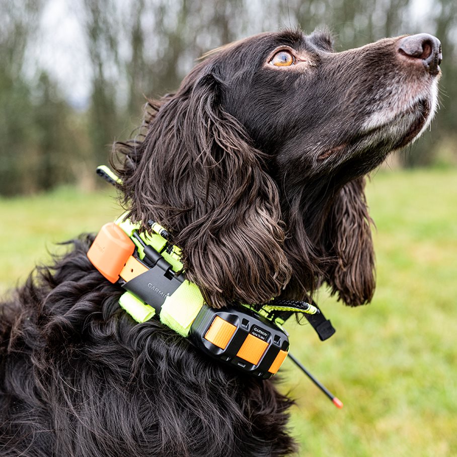 Pejlskydd Med Flärp Och Resår L
