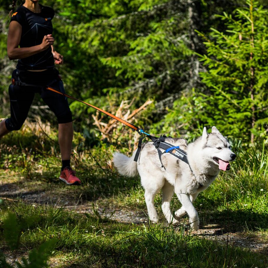 Freemotion Dragsele 8