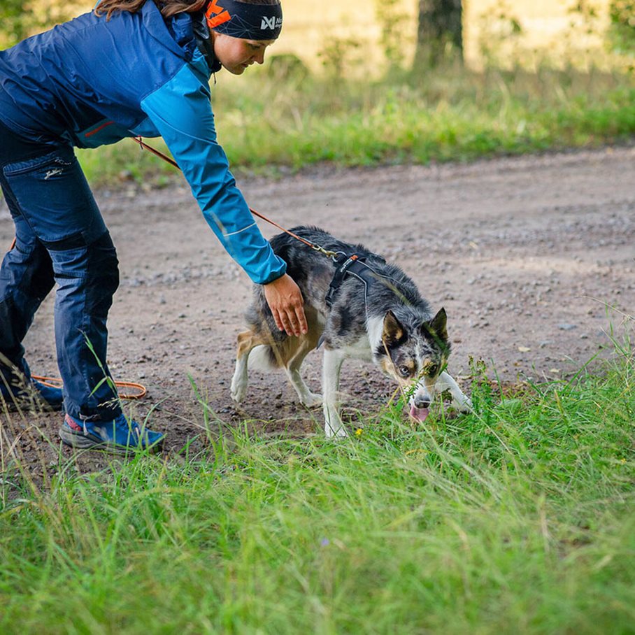 Line Sele Grip till Hund SVART / STL 1