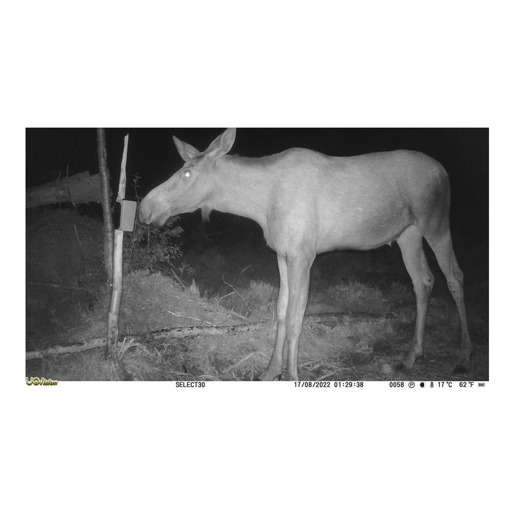 Viltkamera Select 30MP 4G UTAN SIM