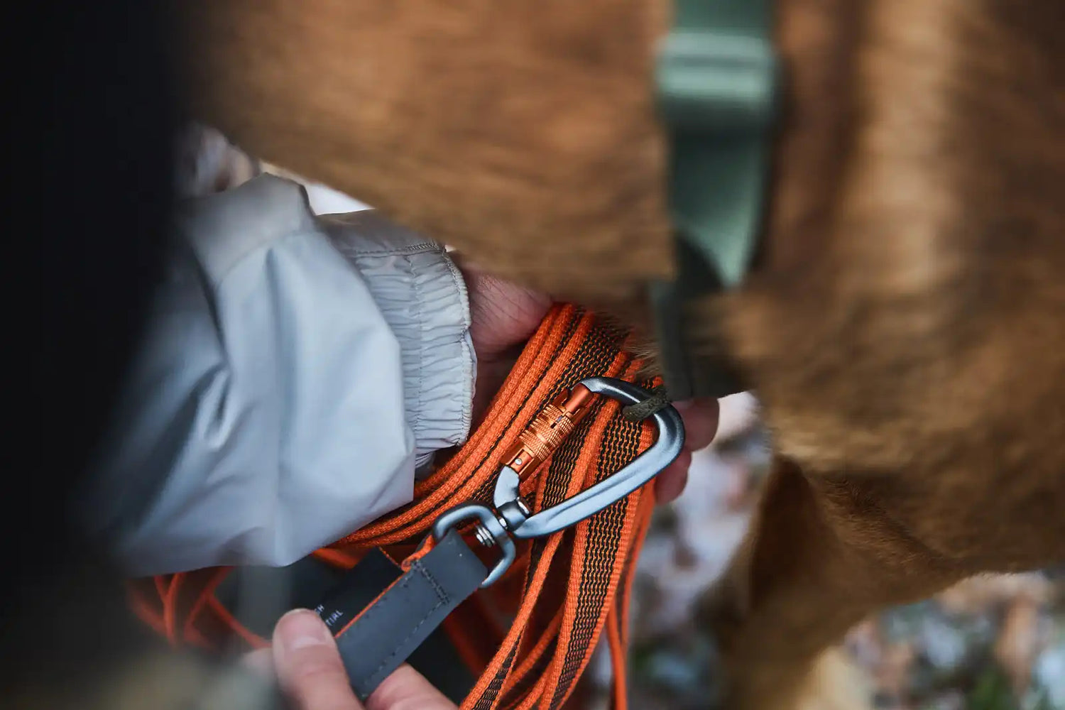 Friction long line ORANGE / 10 M