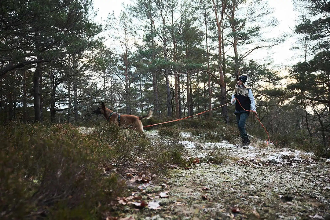 Friction long line ORANGE / 10 M