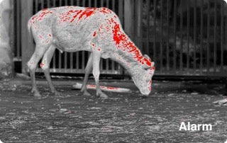 Ranger 640x512, 35 mm Värmekamera EN STL