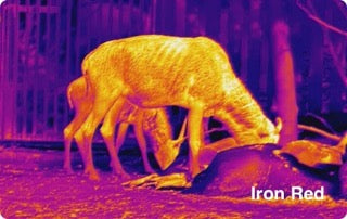 Ranger 640x512, 35 mm Värmekamera EN STL