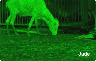 Ranger 640x512, 35 mm Värmekamera EN STL