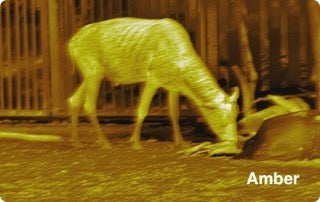 Ranger 640x512, 35 mm Värmekamera EN STL