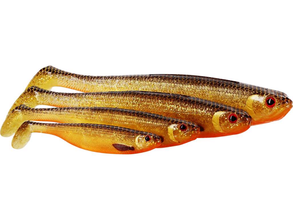 Shad Teez Slim 12 cm BLING PERCH / EN STL