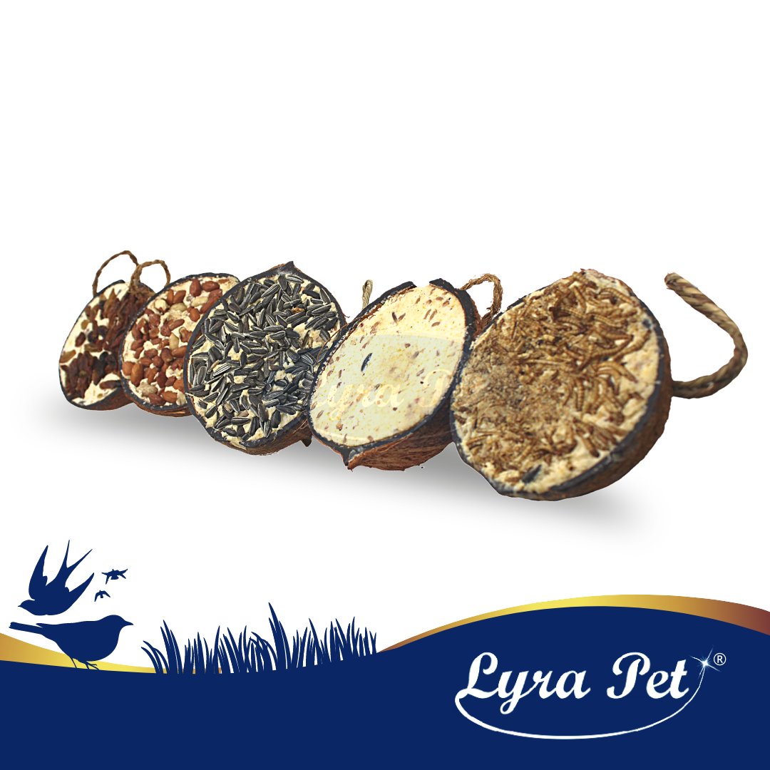 Halva Kokosnötter med fyllning för fåglar 10 STYCKE