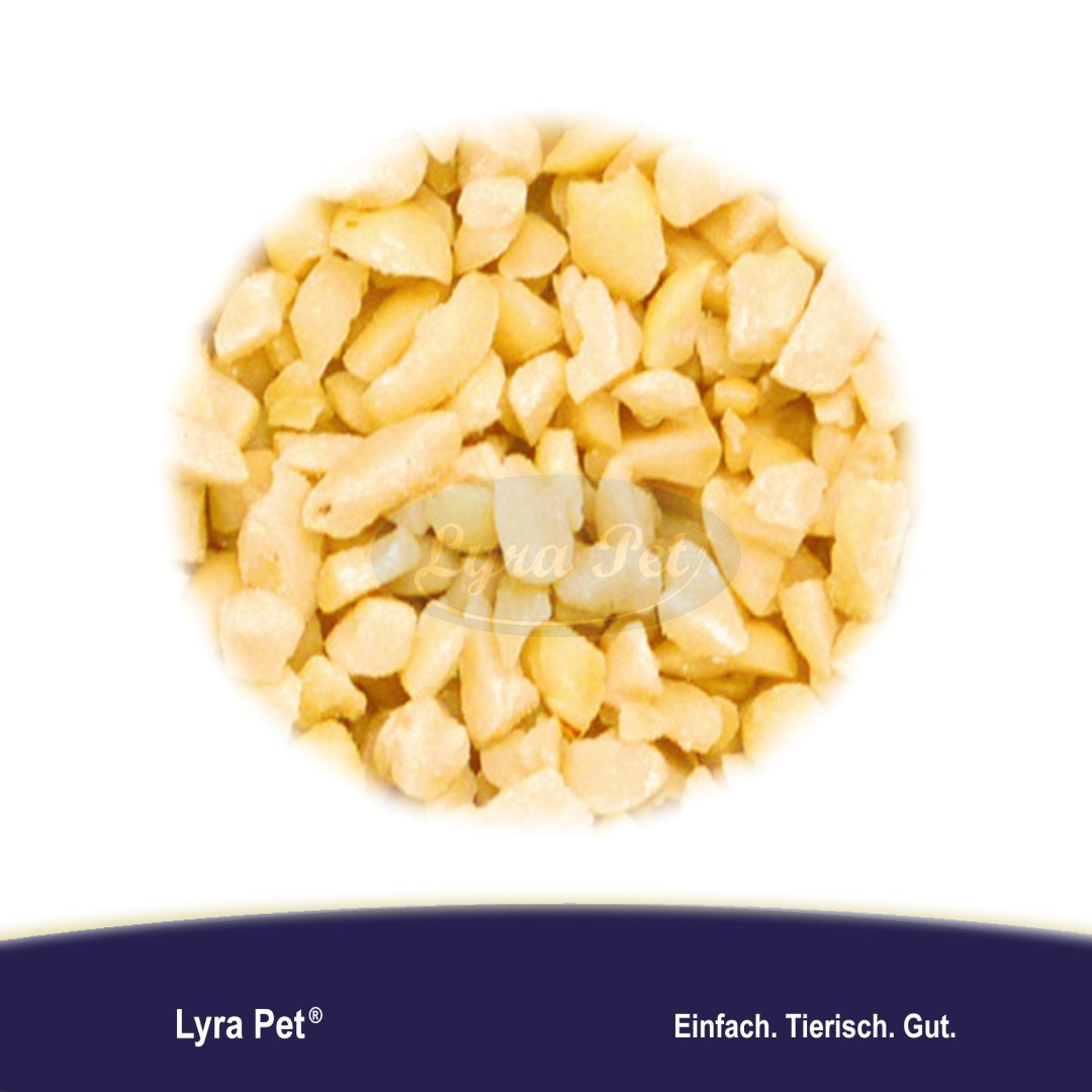 Hackade vita Jordnötter BROWN / 10 KG