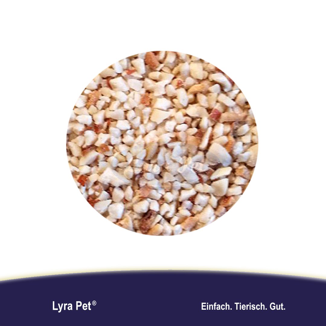 Hackade Jordnötter med skal 10 KG