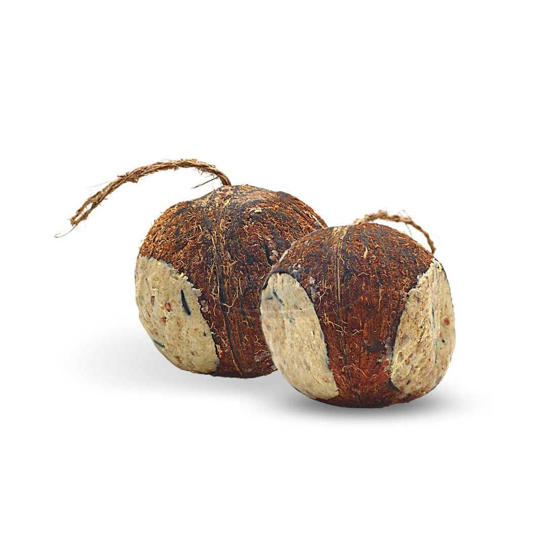 Fylld Kokosnöt med 3 Hål 4pack 4 STYCKE