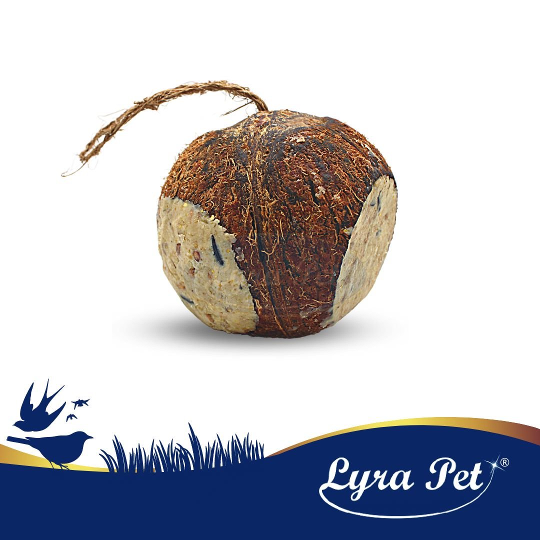 Fylld Kokosnöt med 3 Hål 4pack 4 STYCKE