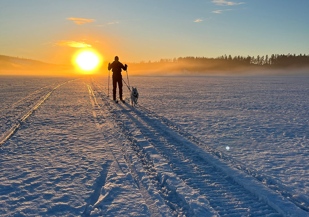 Cecile BC WL/FL Turskidor Vallningsfria 170