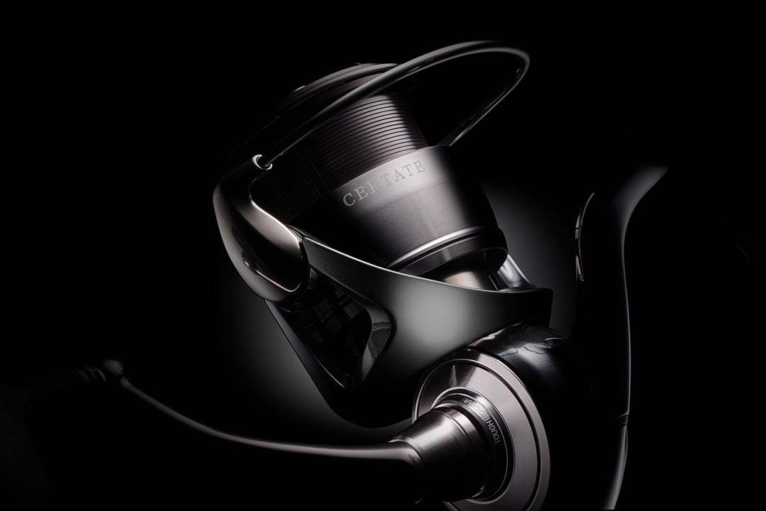 24 Certate G FC LT 2000