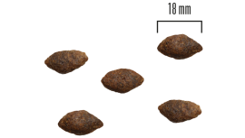 Dog Adult All Breed Grainfree Hjort och Kalkon 1,5kg eller 10 kg SMAK FR. HJORT OCH KALKON & MÄNGD 1,5 KG