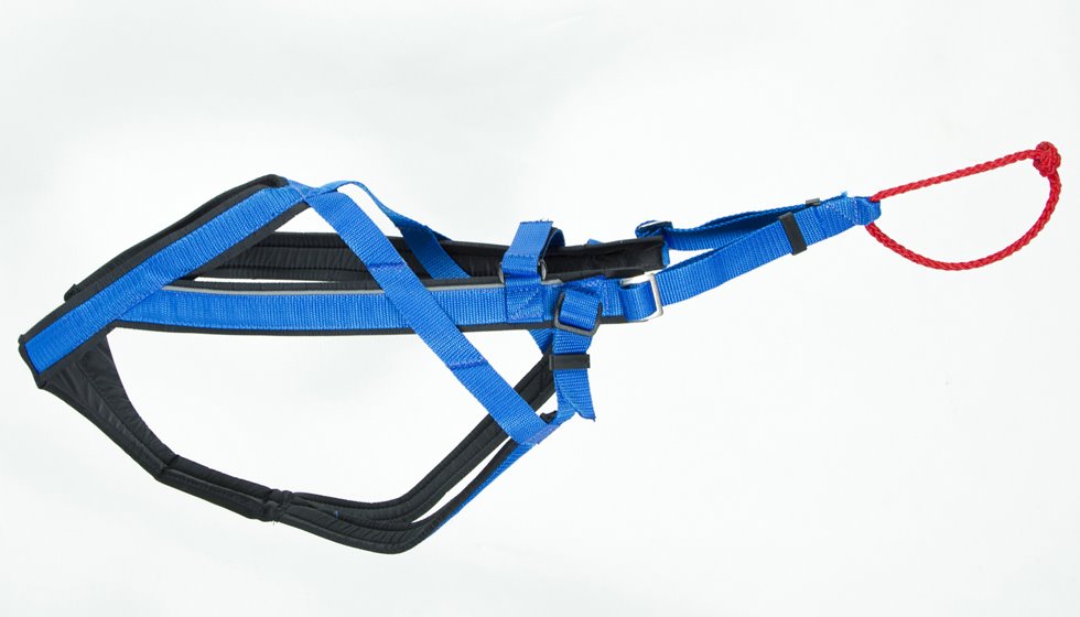 Adjustable Dragsele