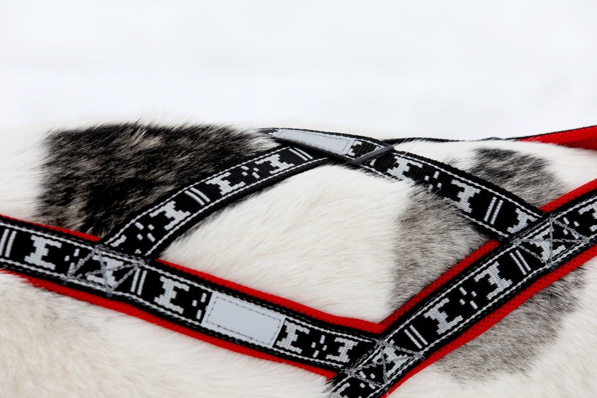 Run Long Sele RÖD / XS