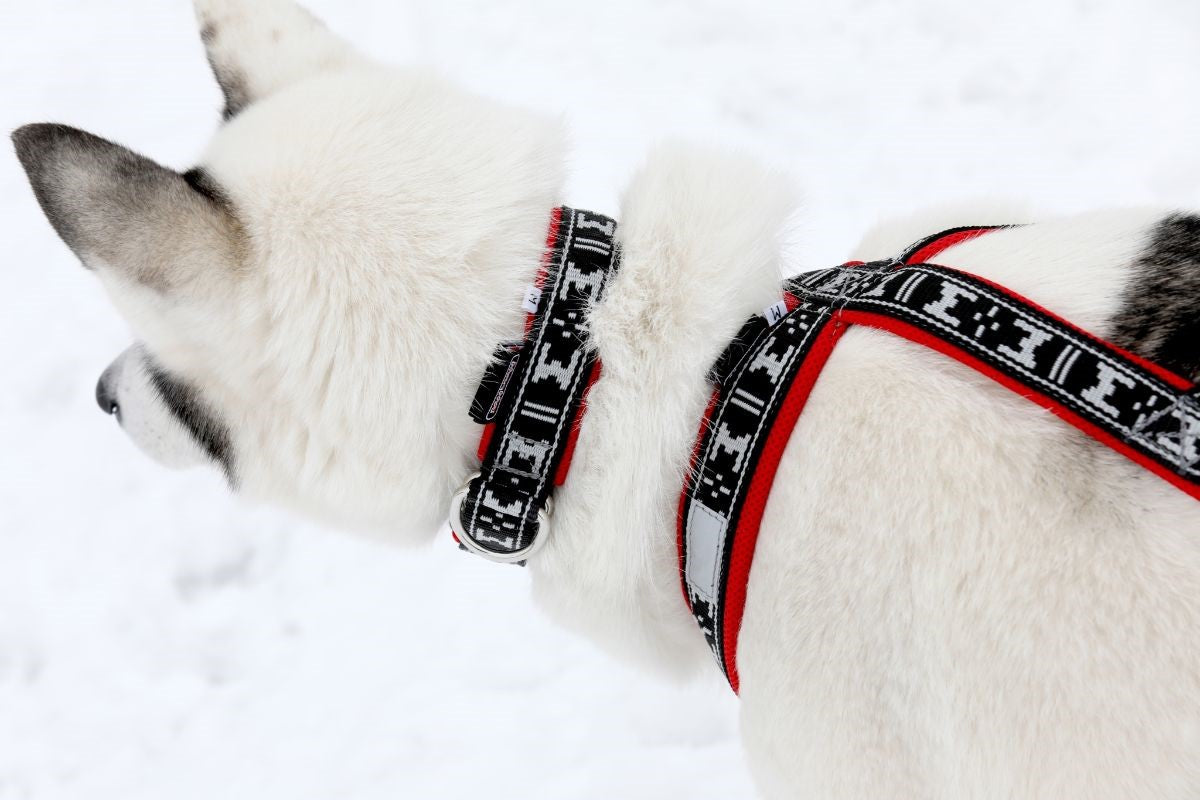 Run Long Sele RÖD / XS