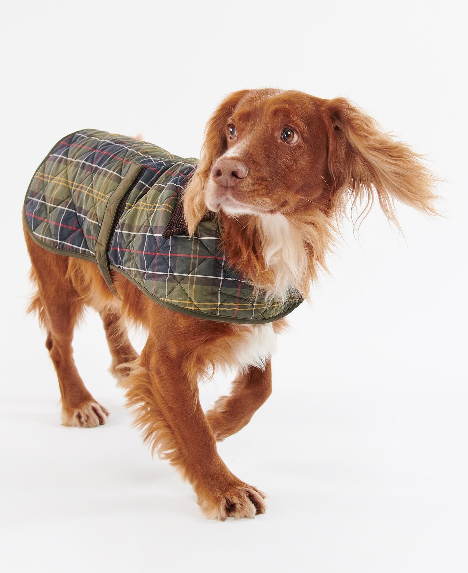 Tartan Dog Coat CLASSIC / S