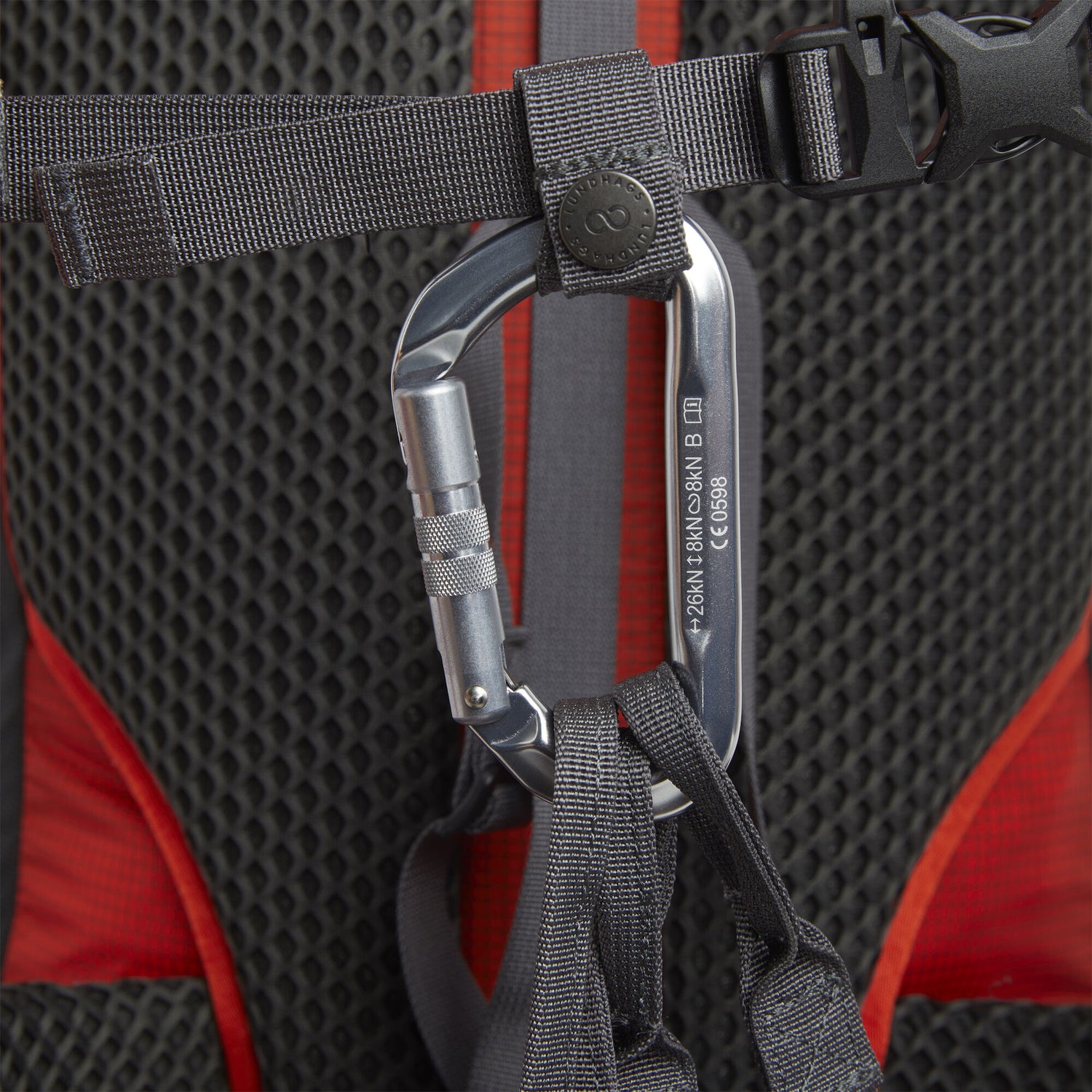 Torne Ice Light 25L LIVELY RED / 25 L