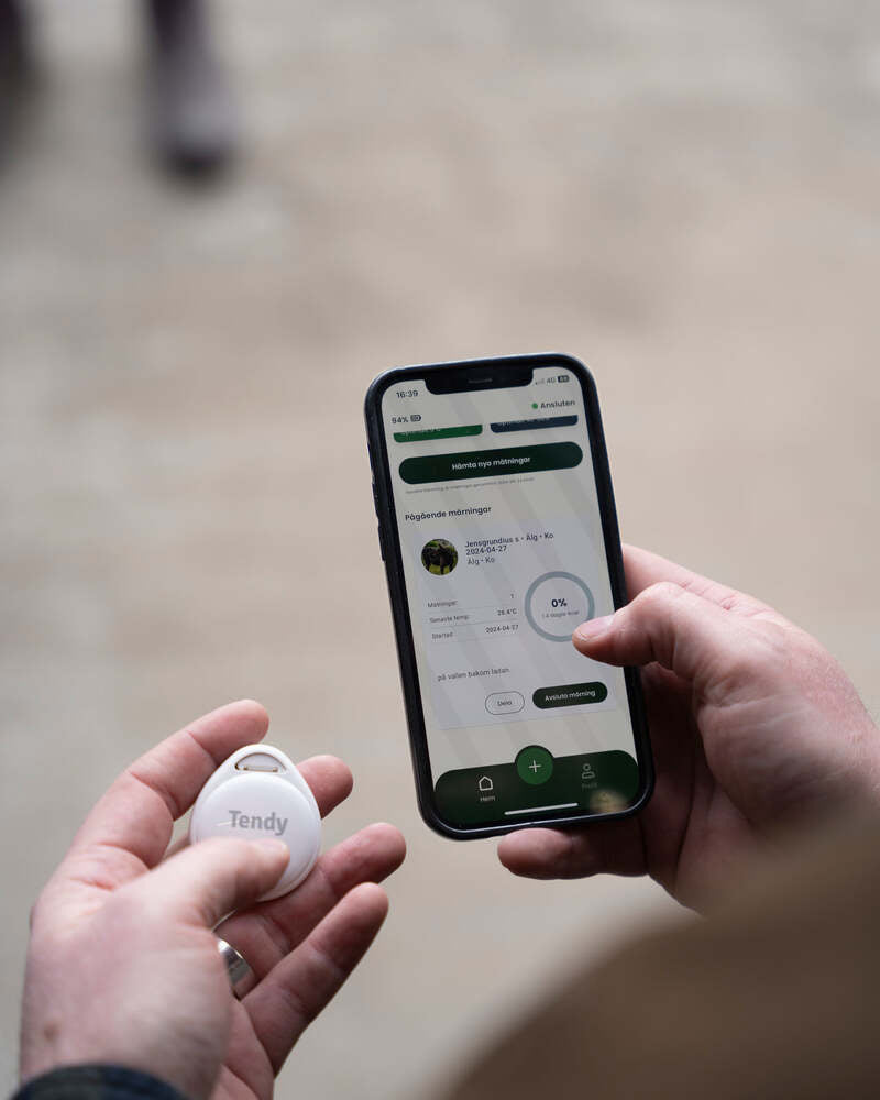 Nemus Mörningstimer ONE SIZE