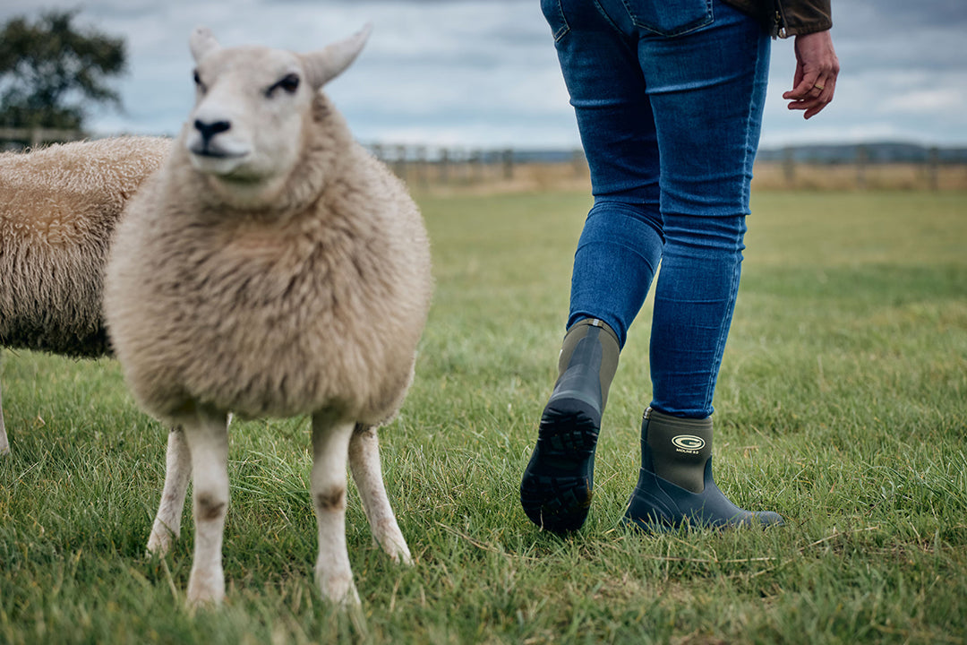 Midline 5.0 Boots GREEN / EUR 37