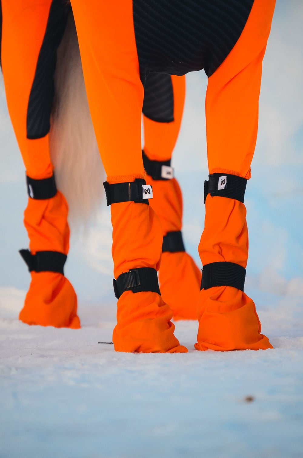 Hundsockar höga med dubbellåsning ORANGE / 2XL / 4-PACK