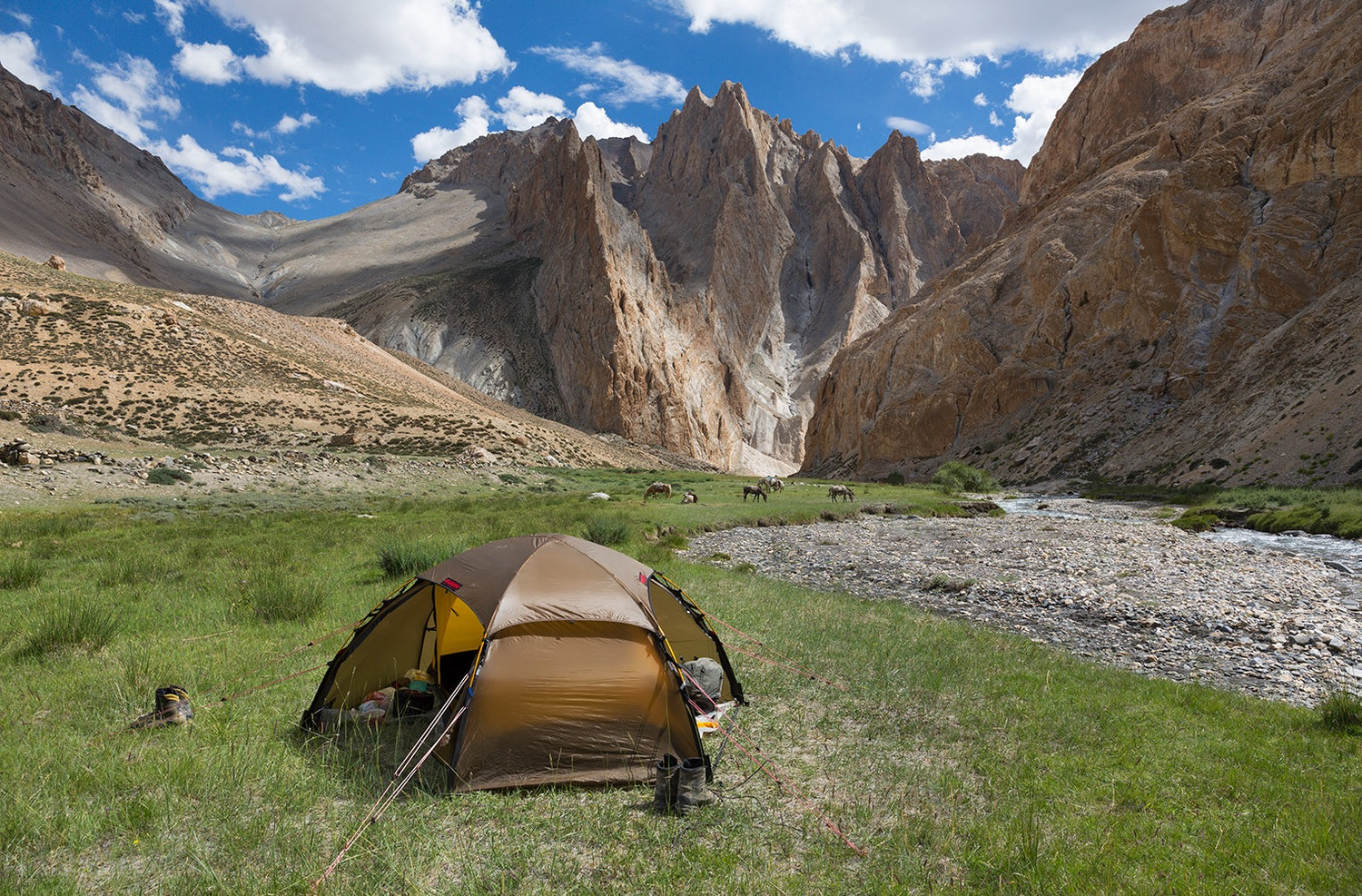 Allak 2 tält GREEN / EN STL