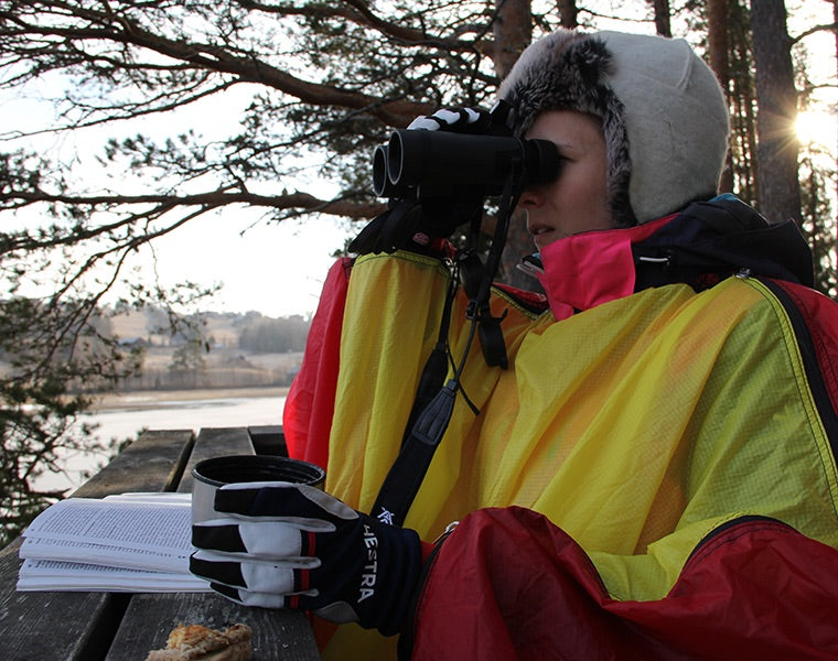 Windsack 3 RED / EN STL