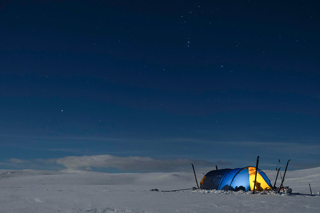 Arctic 4 Polar (2025) BLUE/ORANGE / ONE SIZE