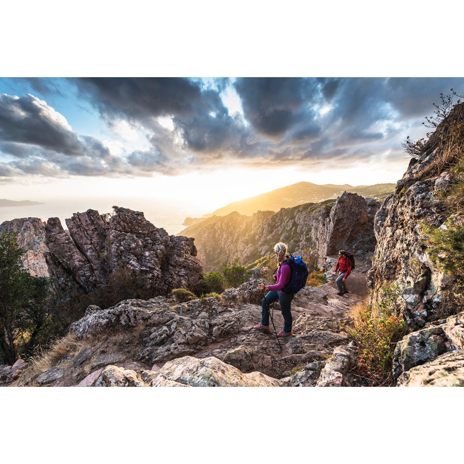 Eja 58 DEEP TEAL / WM/L