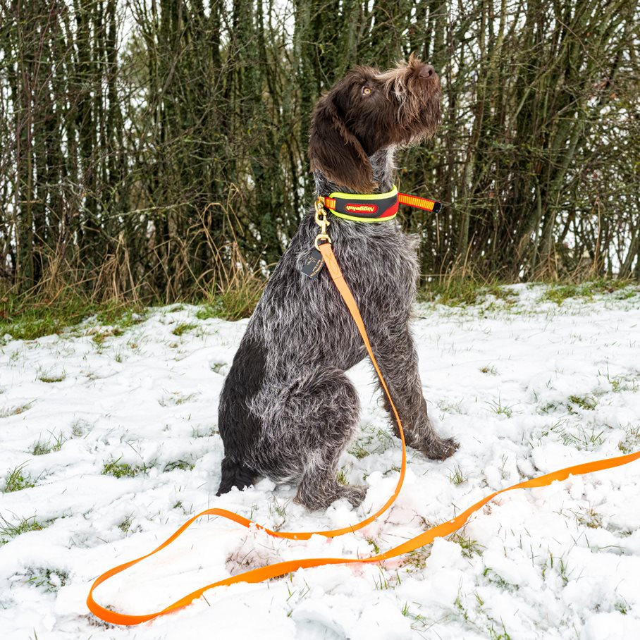 Hund Spårlina BioThane 20 mm, 10 meter ORANGE / EN STL