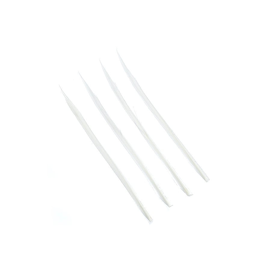 Turkey Biots VIT / EN STL