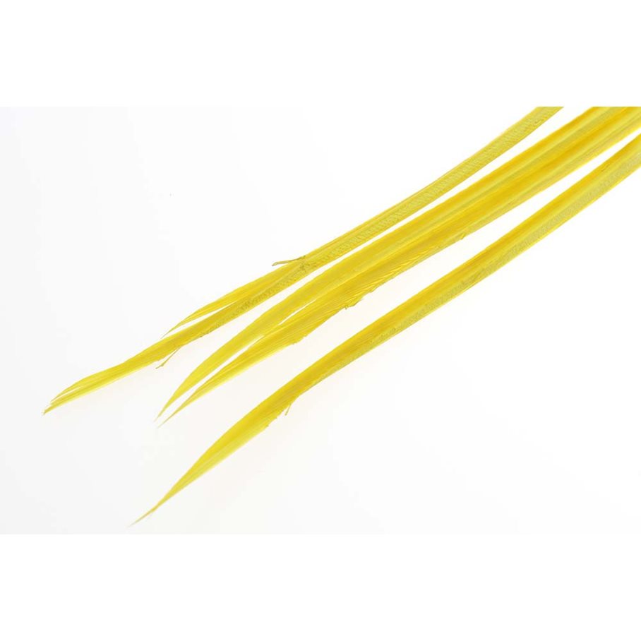 Turkey Biots PALE MORNING DUN / EN STL