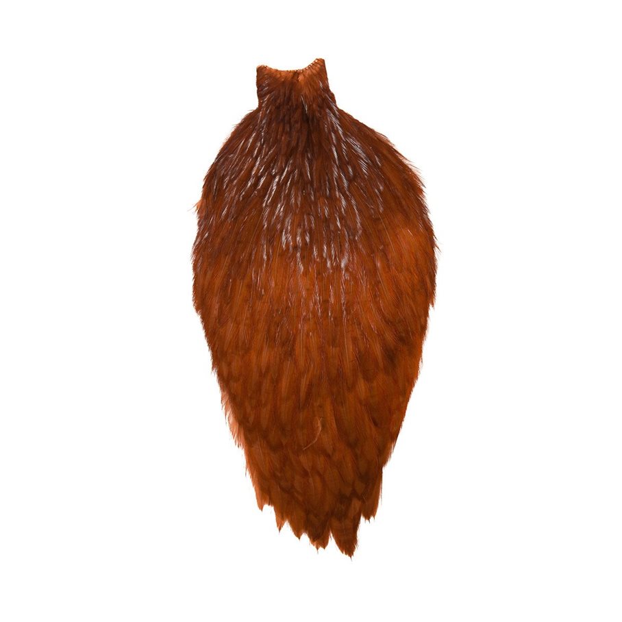 Whiting US Rooster Cape BROWN / EN STL